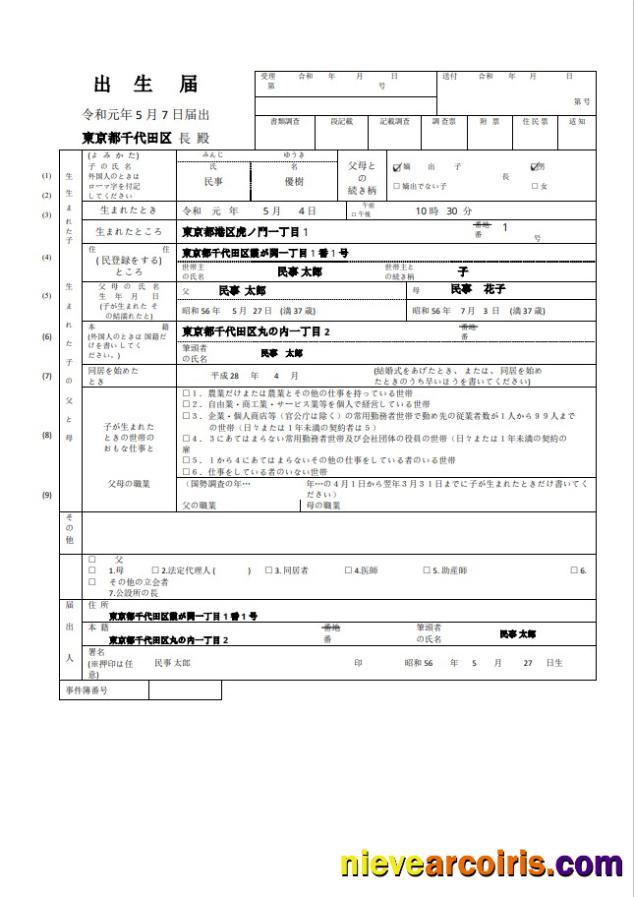 Japan vital record birth certificate